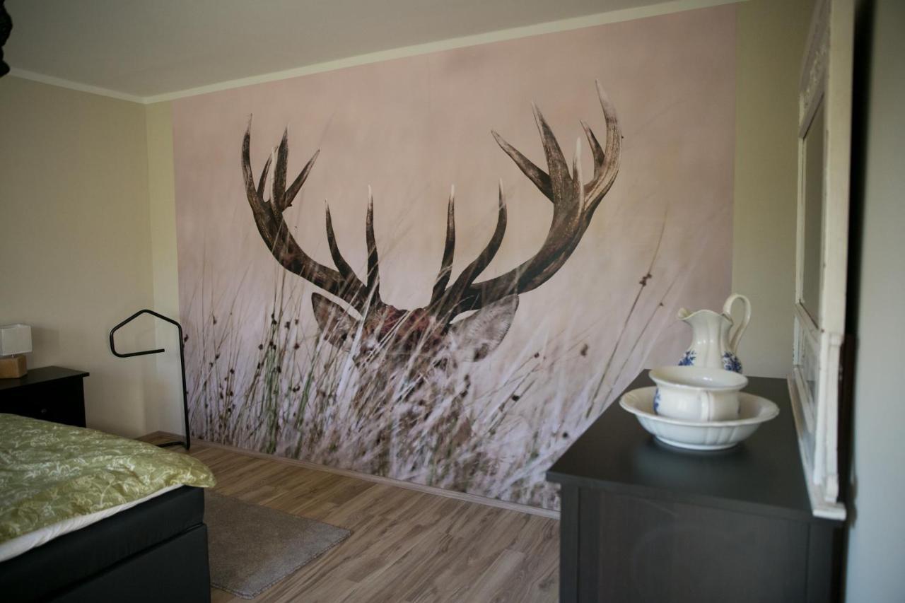 Dedelstorf Mcdreyer Ferienwohnung מראה חיצוני תמונה