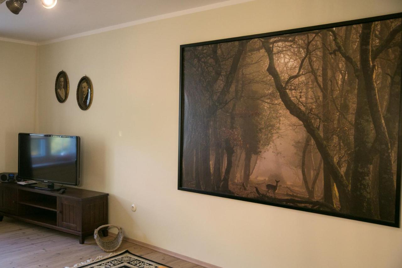 Dedelstorf Mcdreyer Ferienwohnung מראה חיצוני תמונה